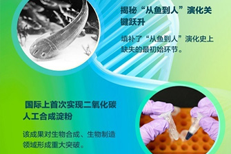 【學(xué)習(xí)強(qiáng)國】中國科學(xué)院創(chuàng)新成果速覽（二）