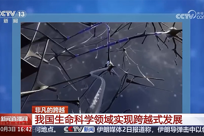 【新聞直播間】非凡的跨越?我國生命科學(xué)領(lǐng)域?qū)崿F(xiàn)跨越式發(fā)展