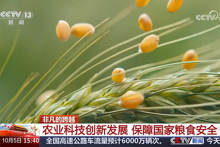 【新聞直播間】非凡的跨越?農(nóng)業(yè)科技創(chuàng)新發(fā)展?保障國家糧食安全