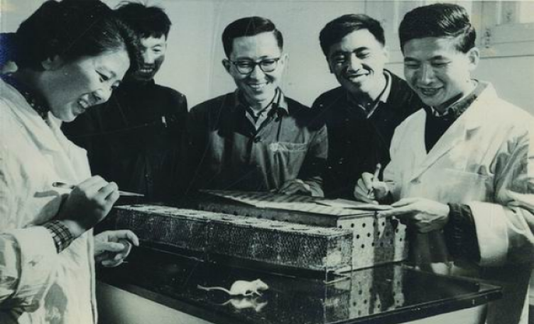 牛胰島素“攻關(guān)記”