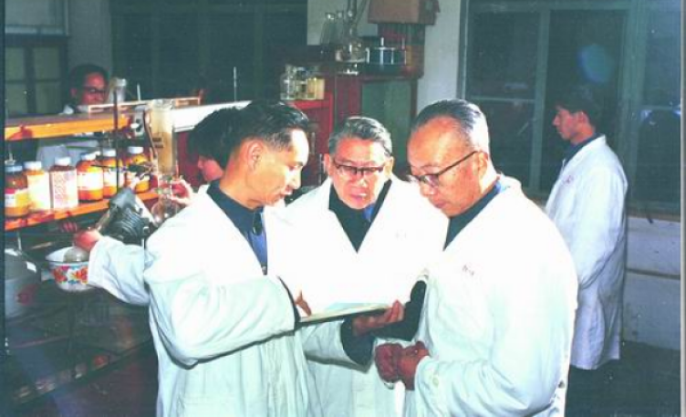 為了那株“三葉草”?他們勇攀巔峰